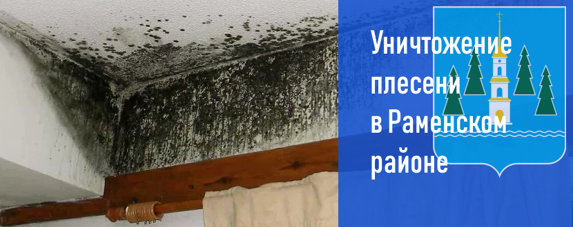 обработка и уничтожение плесени и грибка в г раменское. санэпидемстанция проводит обработку и уничтожение плесени г раме