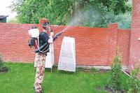 Уничтожение комаров в Раменском. Обработка